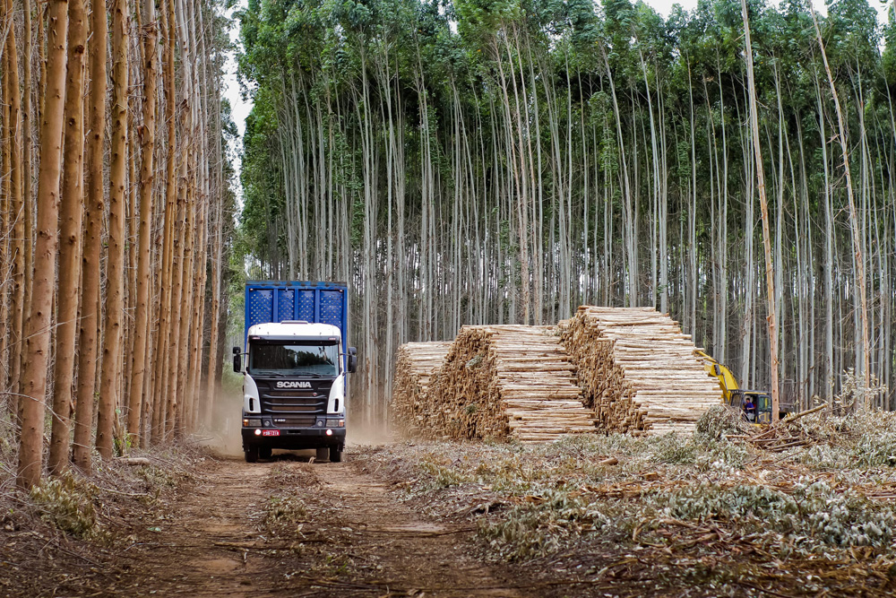 Тяжелый лесовоз Scania G 480 6x4 в Бразилии, 2012